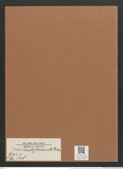 Navicula diffluens A.Schm. (de-Toni-Nr.: Genus 1, Species 348) Zeichnungen Sammlung Grunow Mappe 00309 (Herbarium_W_Grunow_drawings_Folder_00309)